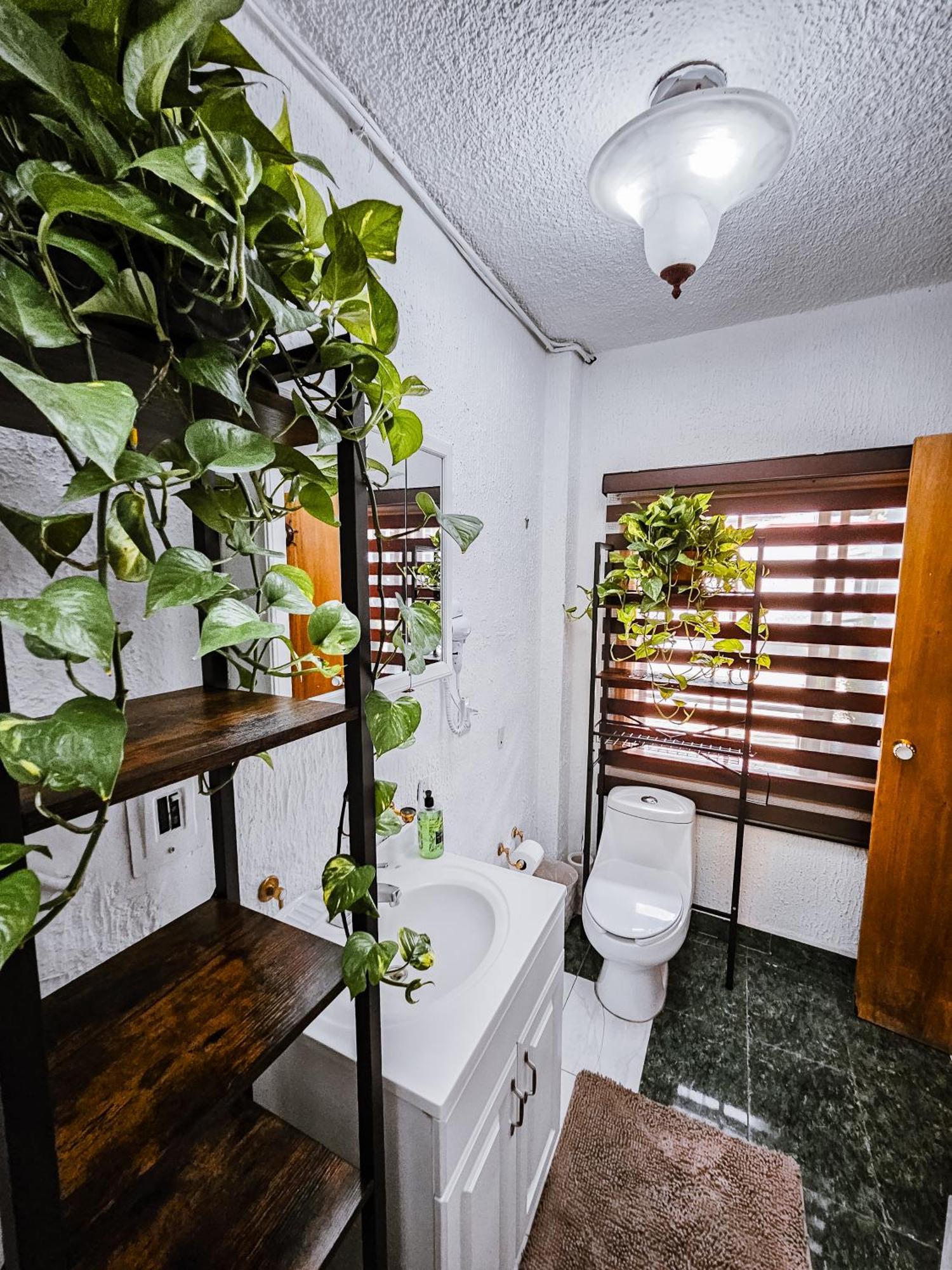 Habitacion Con Bano Privado B, Centro De Coyoacan Cidade do México Exterior foto
